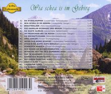 Leukentaler Saitenmusik: Wia schea is im Gebirg, CD