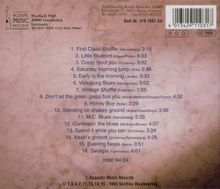 The First Class Bluesband: First Class Blues, CD