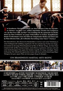 Ip Man: Kung Fu Master, DVD