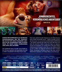 "Kindgerechtes, vergnügliches Abenteuer" - KINO-ZEIT.DE. Oben grinst ein Junge neben einem fröhlichen Hund. Darunter Szenen und Text.