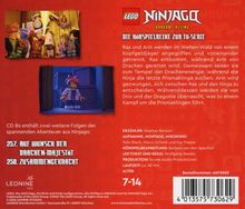 LEGO NINJAGO Dragons Rising. Ras und Arin werden im Welten-Wald angegriffen. Inkl. 2 Folgen: 257. Auf Wunsch der Drachen-Majestät, 258. Zusammengekracht. Alter: 7-14. Oben links: zwei Bilder von LEGO-Figuren.