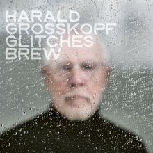 Text: "HARALD GROSSKOPF GLITCHES BREW". Unscharfer Mann hinter regennasser Scheibe, im Hintergrund verschwommen.