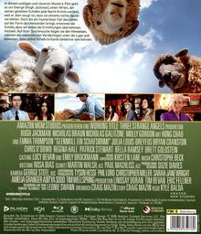 Ein Text beschreibt einen Mystery-Film mit Schafen als Detektive. Oben sind Schafe am Himmel zu sehen, unten Filmfiguren.