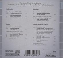 Die Orgeln von Gottfried Silbermann Vol.8, CD