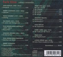 Calmus Ensemble - Farbtöne, CD