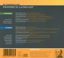 Die Domorgeln von Friedrich Ladegast, 2 CDs