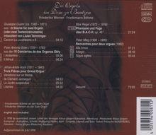 Rückansicht vergrößern