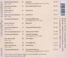 Bavarocco - Orgelmusik in Baiern, CD