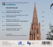 Die Orgeln im Freiburger Münster - Chororgel, CD