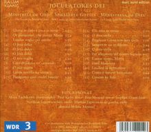 Joculatores Dei - Spielleute Gottes, CD