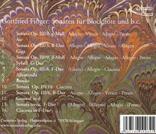 Hans Rudolf-Krüger - Europäische Orgelromantik, CD