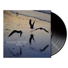Tingvall Trio: Birds (180g) (Limited Edition) (Black Vinyl) (mit signiertem Fotobuch, exklusiv für jpc!), LP