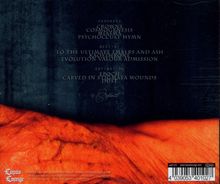 Rückansicht vergrößern