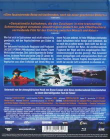 Nomaden der Lüfte - Das Geheimnis der Zugvögel (Blu-ray), DVD