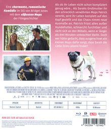 Ein Mops zum Verlieben (Blu-ray), Blu-ray Disc