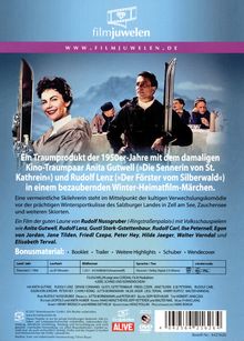 Liebe, Schnee und Sonnenschein, DVD