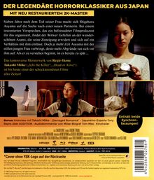 Audition (Blu-ray), Blu-ray Disc