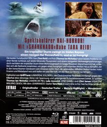 Spektakulärer Hai-Horror! Mit „Sharknado“-Babe Tara Reid! Ein tropischer Sturm zwingt im Süden Bayous...
