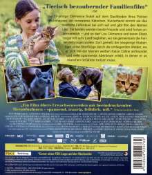 Lou - Abenteuer auf Samtpfoten (Blu-ray), Blu-ray Disc