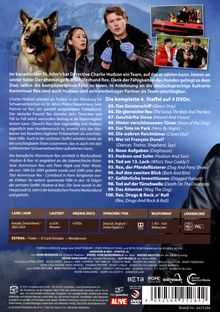 Texte: „Die komplette 6. Staffel auf 4 DVDs“, Episodentitel wie „Das Geisterschiff“, „Ein glorreicher Rex“. Illustration zeigt Hund und Menschen.