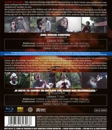 Clown of Fear 1 &amp; 2 (3D Blu-ray), Blu-ray Disc