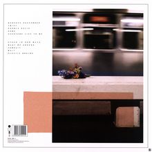 Knuckle Puck: Shapeshifter (Limited-Edition) (Colored Vinyl), LP