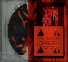These New Puritans: Inside The Rose, CD