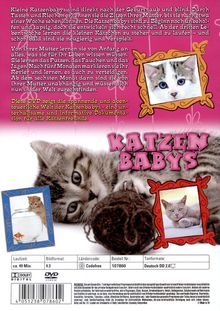 Katzenbabys, DVD