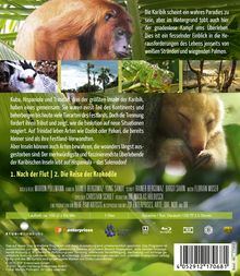 Die Karibik - Überleben im Paradies (Blu-ray), Blu-ray Disc