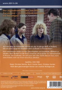 Das Puppenheim in Pinnow, DVD