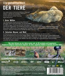 Titel: Die geheime Welt der Tiere. Texte beschreiben Wölfe und Wildtiere. Bild: Wolf liegt auf Erde. Fotos von Hirsch und Fuchs.