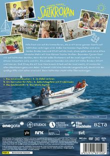 Texte: "UNSERE FERIEN AUF SALTKROKAN", "Pelle freut sich auf die Sommerferien...", "1. Das Schreinerhäuschen...", FSK 6.

Illustration: Bunte Collage von Sommeraktivitäten. Kinder in einem Boot.