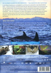 Norwegens Naturwunder: Die kleinen Giganten des Nordens / Magie der Fjorde, DVD