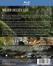 Wälder unserer Erde (Blu-ray), Blu-ray Disc