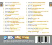 Die offiziellen deutschen Party &amp; Schlagercharts Vol. 13, 2 CDs
