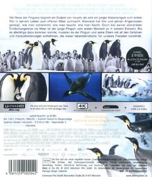 Die Reise der Pinguine 2 - Der Weg des Lebens (Ultra HD Blu-ray &amp; Blu-ray), 1 Ultra HD Blu-ray und 1 Blu-ray Disc