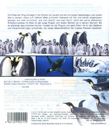 Die Reise der Pinguine 2 - Der Weg des Lebens (Blu-ray), Blu-ray Disc