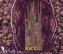 Text in der Mitte: "MENE TEKEL"
Farbige Illustration mit organischen Formen und Schädeln.