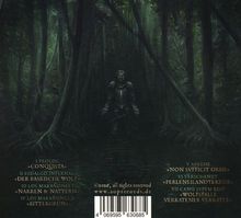 Liste von Titeln: PROLOG, CONQUISTA, DER BASKISCHE WOLF, ABKEHR, WOLFSFALLE. Illustration: Ritter im dunklen Wald.