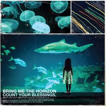 BRING ME THE HORIZON COUNT YOUR BLESSINGS. Mädchen schaut auf Fische und einen Hai in einem Aquarium.