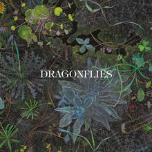 "DRAGONFLIES" in Großbuchstaben über detaillierter, bunter Illustrationen von Pflanzen und Blättern auf dunklem Hintergrund.