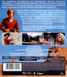 Film: "Satan Der Rache". Italo-Western mit Klaus Kinski, 4K Master, ungekürzt. Handlung: Vergeltung, Gerechtigkeit, Italo-Western.