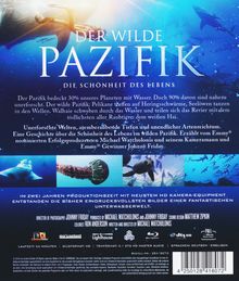 Der wilde Pazifik - Die Schönheit des Lebens (Blu-ray), Blu-ray Disc