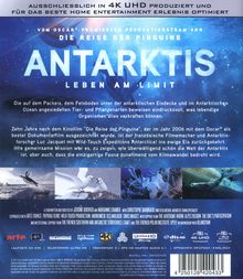 Antarktis - Leben am Limit (Ultra HD Blu-ray), Ultra HD Blu-ray