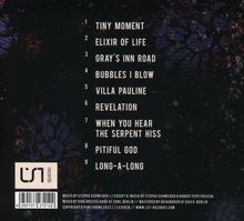 The Moon Is No Door: Tiny Moment, CD