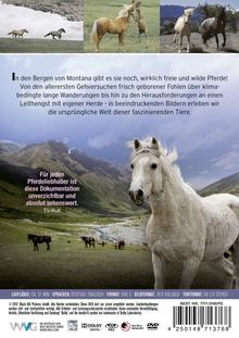 Abenteuer Wild-Pferde, DVD