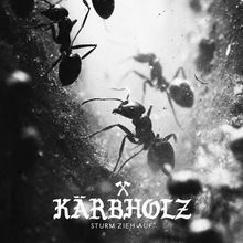 Text: "KÄRBHOLZ" und "STURM ZIEH AUF". Schwarz-weißes Foto von Ameisen in Nahaufnahme.