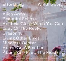 Efterklang: Windflowers, CD