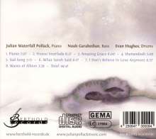 Julian Waterfall Pollack Trio: Waves Of Albion, CD