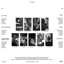 "JAZZ BRUT 0002" in lila Schrift, darunter Künstlernamen. Schwarz-weißes Foto einer Brücke, daneben schwarze Vinyl-Schallplatte.